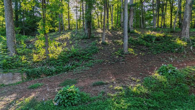 102 Brumby Road, Flintstone, GA 30725