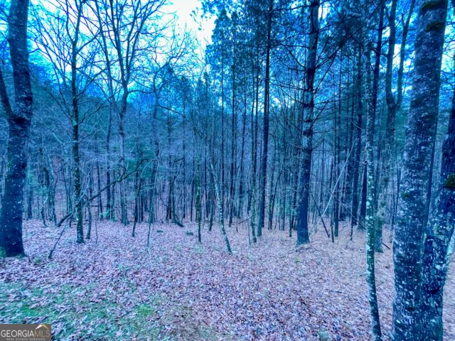 60 Mossy Oak Court, Ellijay, GA 30540