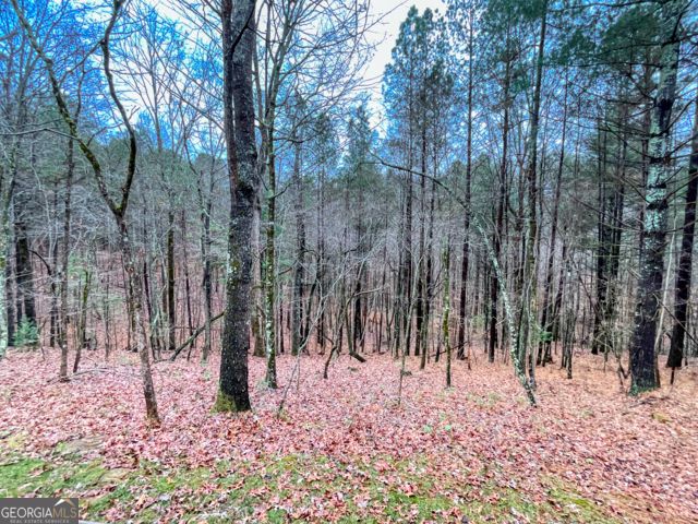 60 Mossy Oak Court, Ellijay, GA 30540