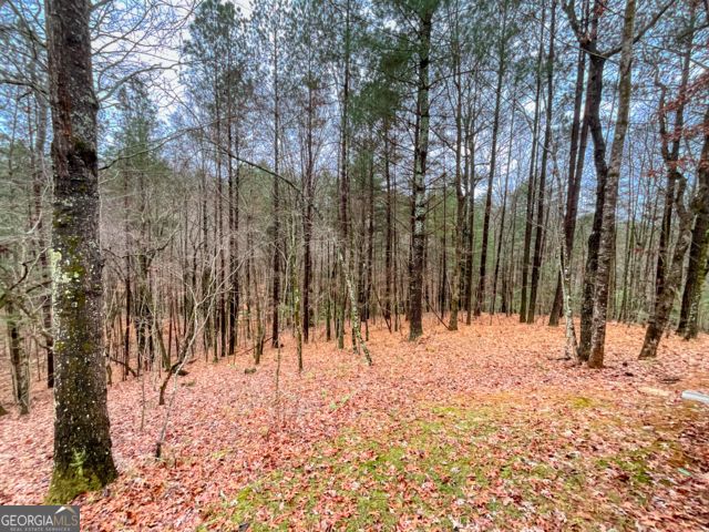 60 Mossy Oak Court, Ellijay, GA 30540