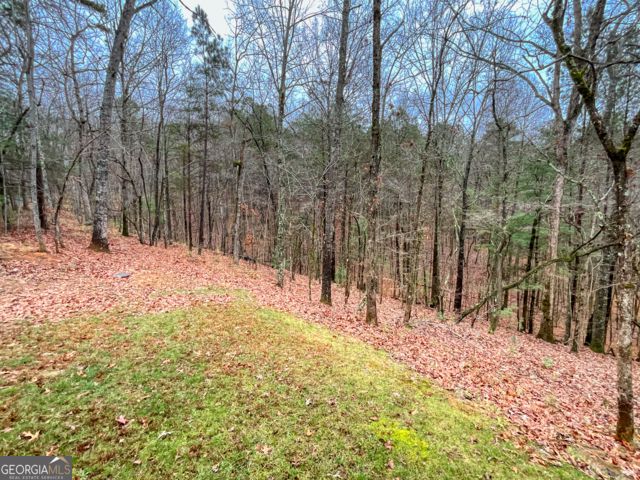 60 Mossy Oak Court, Ellijay, GA 30540