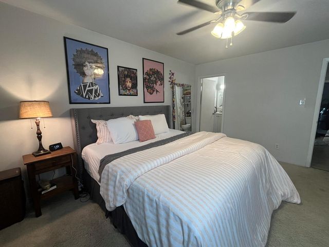 7221 Beechnut Street D, Houston, TX 77074