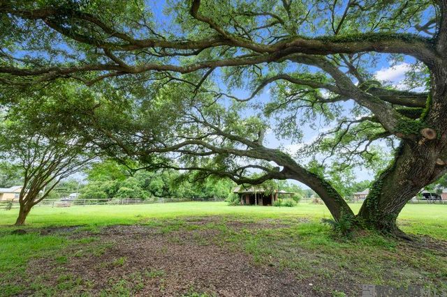 38326 Henry Rd, Prairieville, LA 70769