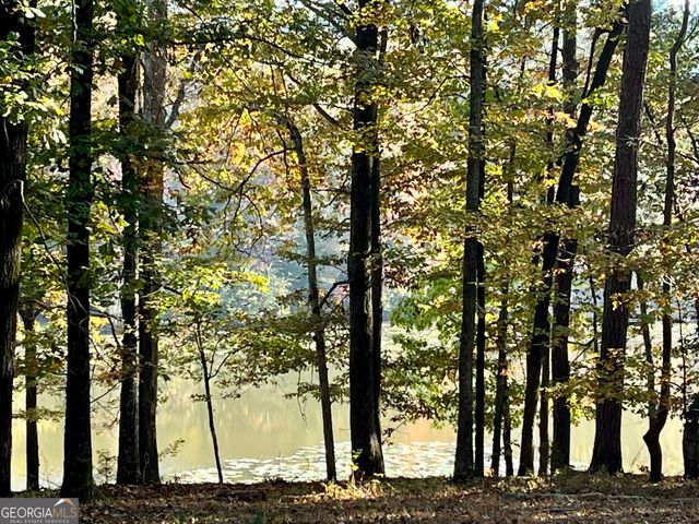 159 May Lane, Zebulon, GA 30295