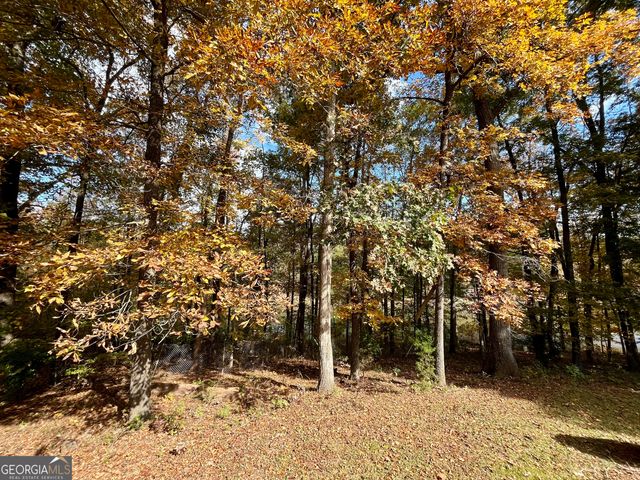 159 May Lane, Zebulon, GA 30295