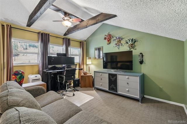 1901 Clear Creek Drive F304, Georgetown, CO 80444
