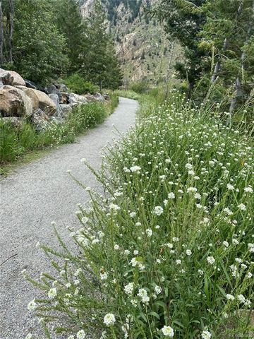 1901 Clear Creek Drive F304, Georgetown, CO 80444