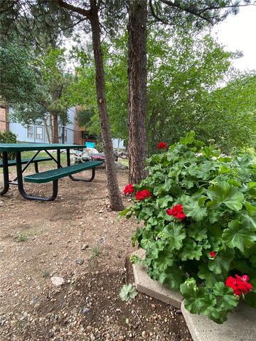 1901 Clear Creek Drive F304, Georgetown, CO 80444