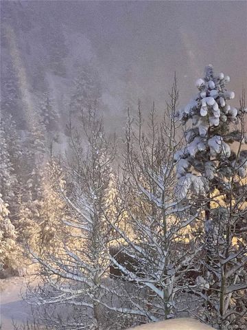 1901 Clear Creek Drive F304, Georgetown, CO 80444
