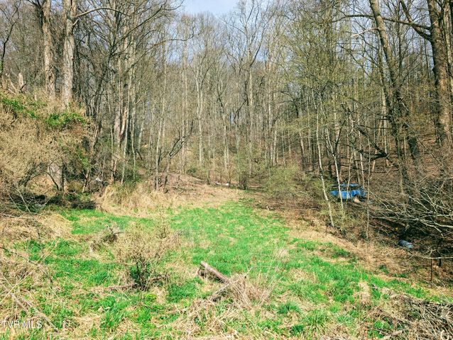 155 Selfe Drive, Clintwood, VA 24228