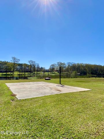 31 Cove Lake Road, Carriere, MS 39426