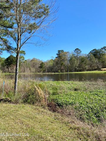 31 Cove Lake Road, Carriere, MS 39426