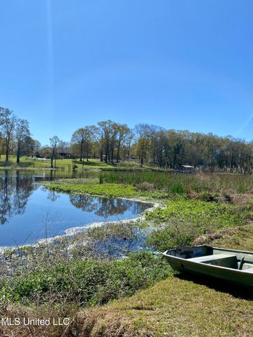 31 Cove Lake Road, Carriere, MS 39426
