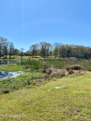 31 Cove Lake Road, Carriere, MS 39426