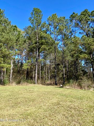 31 Cove Lake Road, Carriere, MS 39426