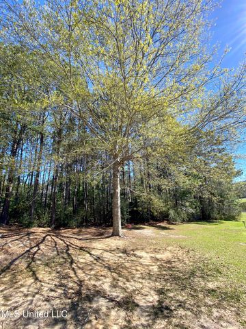 31 Cove Lake Road, Carriere, MS 39426