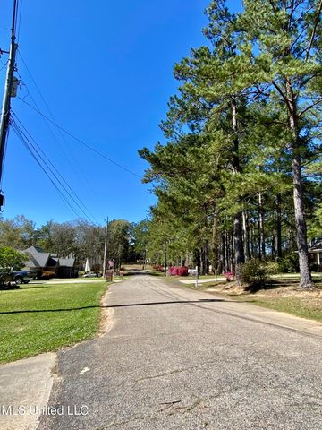 31 Cove Lake Road, Carriere, MS 39426