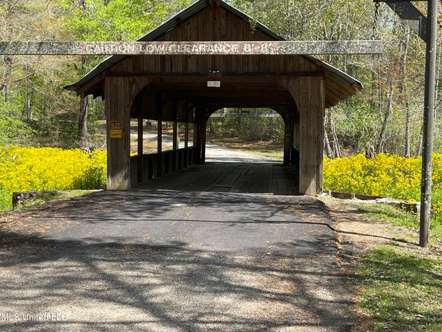31 Cove Lake Road, Carriere, MS 39426