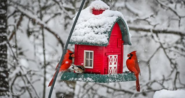 550 Carl Dixon Ln Lane, Gainesboro, TN 38562