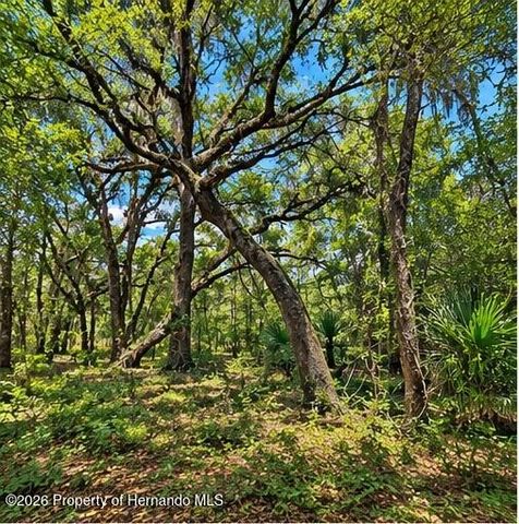 0 Deepwell Drive, Brooksville, FL 34602