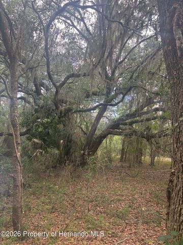 0 Deepwell Drive, Brooksville, FL 34602