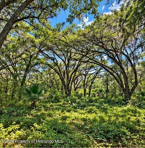 0 Deepwell Drive, Brooksville, FL 34602