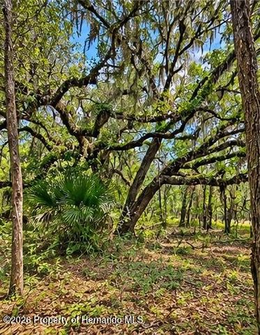 0 Deepwell Drive, Brooksville, FL 34602