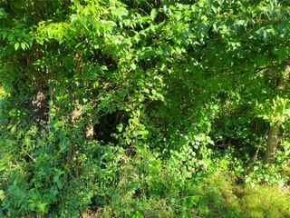 1128 FM 1365, Mexia, TX 76667