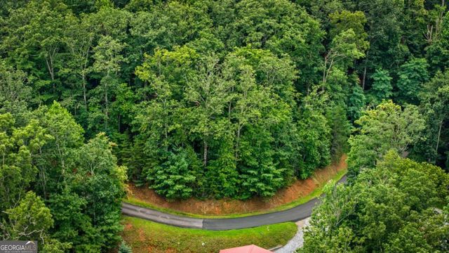 140 Bandit Lane, Blue Ridge, GA 30513