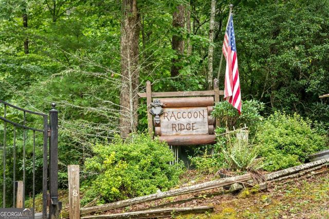 140 Bandit Lane, Blue Ridge, GA 30513