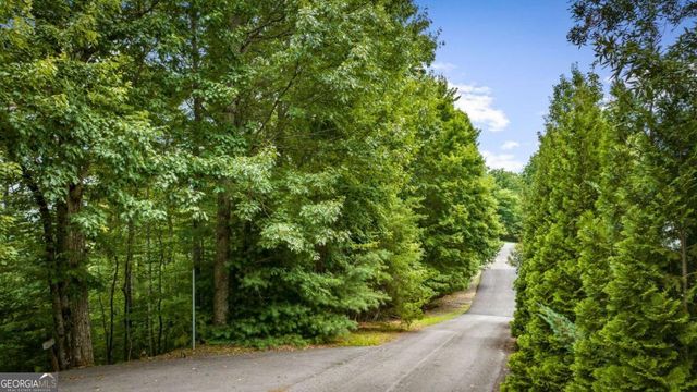 140 Bandit Lane, Blue Ridge, GA 30513