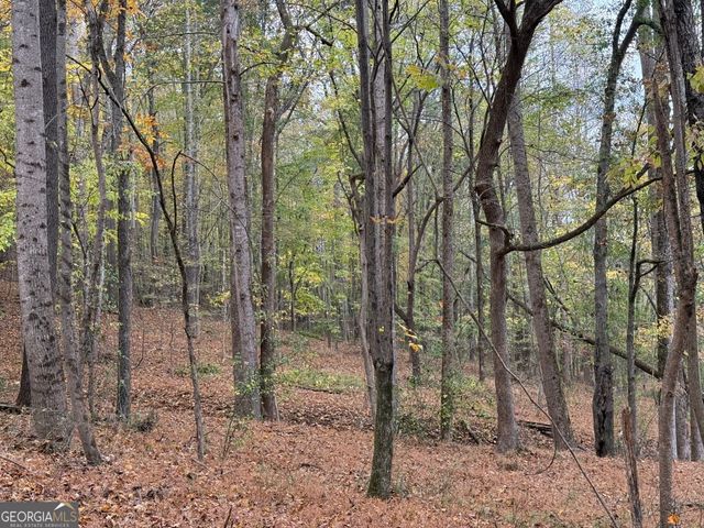 2538 Mount Zion, Oxford, GA 30054