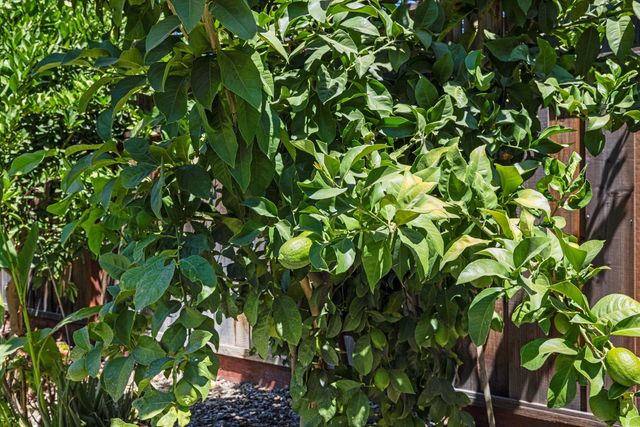 3712 Corte Madera Ave, Modesto, CA 95356