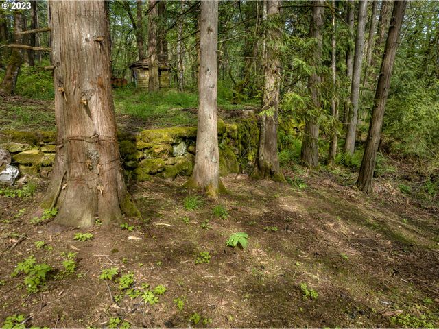 455 COUNTRY CLUB Rd, Hood River, OR 97031