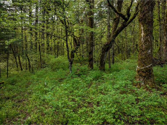 455 COUNTRY CLUB Rd, Hood River, OR 97031