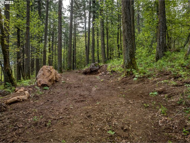 455 COUNTRY CLUB Rd, Hood River, OR 97031