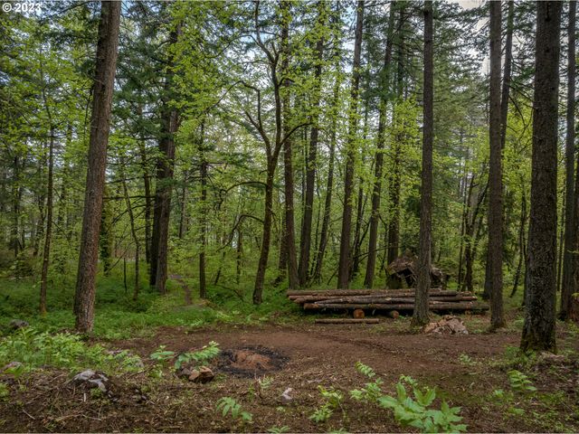 455 COUNTRY CLUB Rd, Hood River, OR 97031