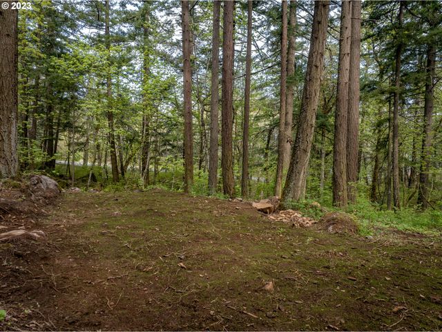 455 COUNTRY CLUB Rd, Hood River, OR 97031