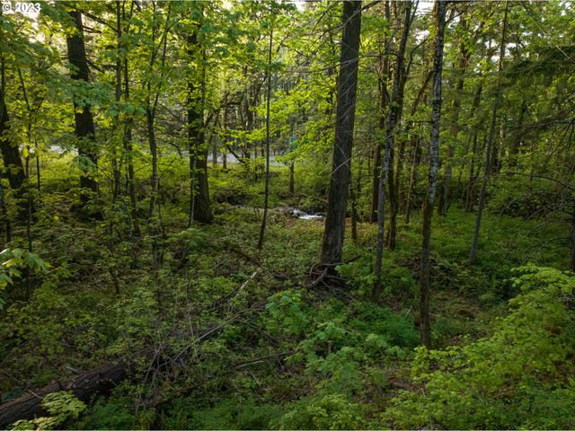 455 COUNTRY CLUB Rd, Hood River, OR 97031