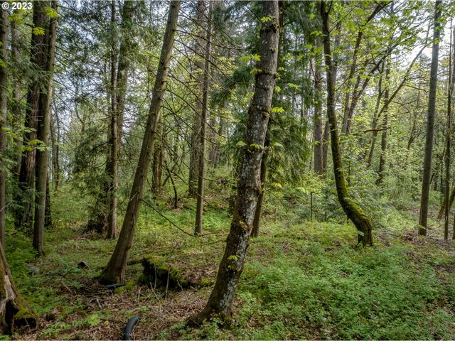 455 COUNTRY CLUB Rd, Hood River, OR 97031