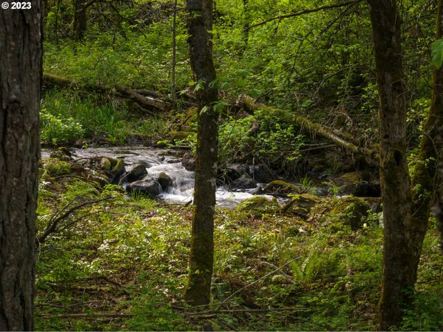 455 COUNTRY CLUB Rd, Hood River, OR 97031