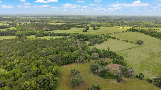 15000 W HWY 318, Williston, FL 32696