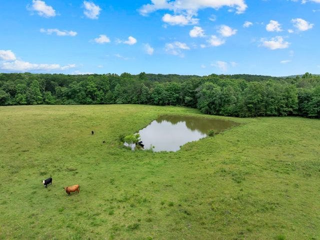 0 Saltzer Mountain Road West, Spencer, TN 38585