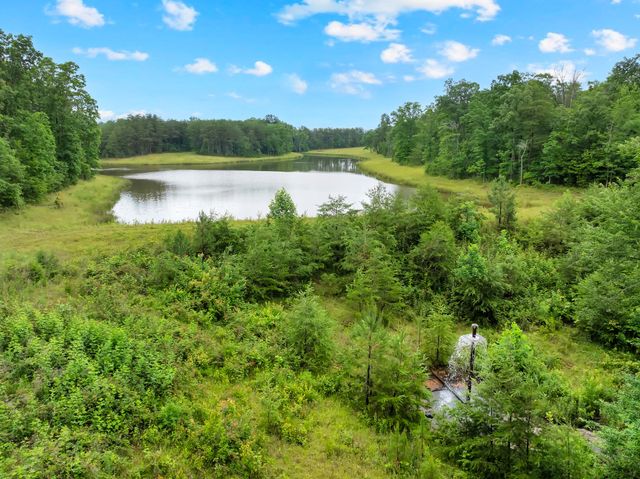 0 Saltzer Mountain Road West, Spencer, TN 38585