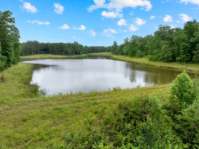 0 Saltzer Mountain Road West, Spencer, TN 38585