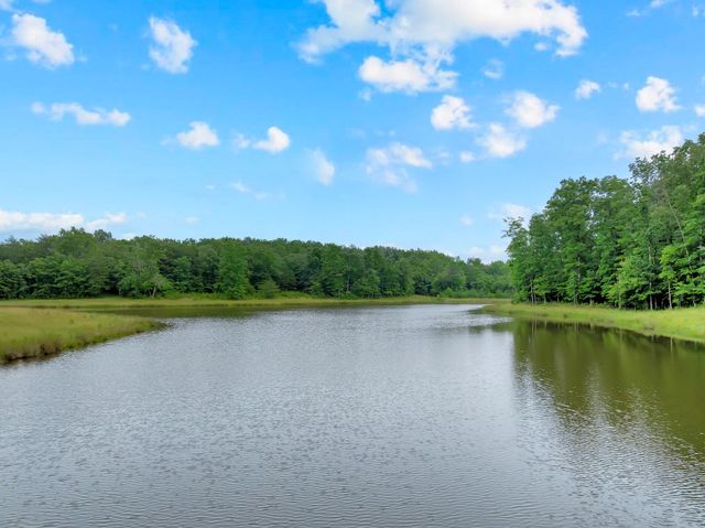 0 Saltzer Mountain Road West, Spencer, TN 38585