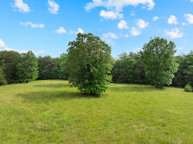 0 Saltzer Mountain Road West, Spencer, TN 38585