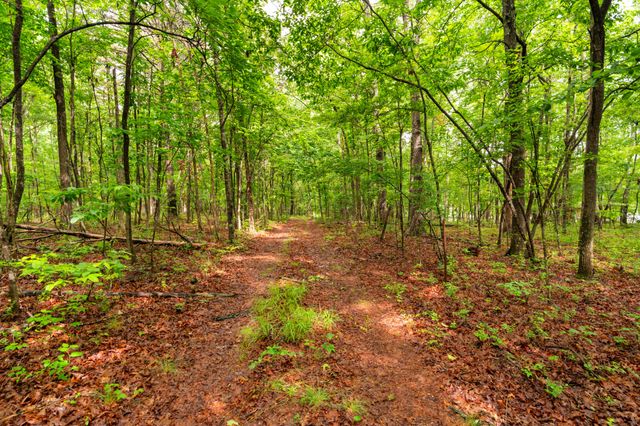 0 Saltzer Mountain Road West, Spencer, TN 38585