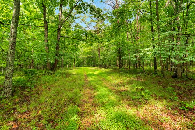 0 Saltzer Mountain Road West, Spencer, TN 38585