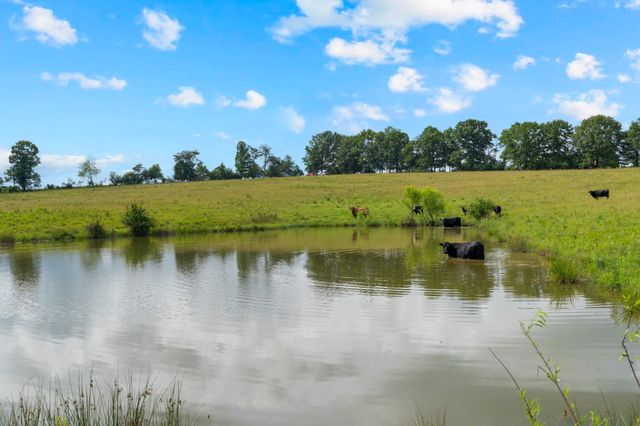 0 Saltzer Mountain Road West, Spencer, TN 38585